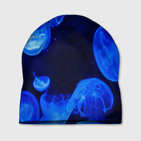 Шапка 3D с принтом медузы голубого цвета в Екатеринбурге, 100% полиэстер | универсальный размер, печать по всей поверхности изделия | 