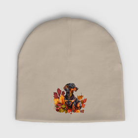 Мужская шапка демисезонная с принтом Такса арт в осенних листьях в Кировске,  |  | Тематика изображения на принте: 