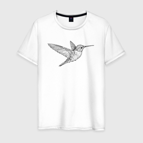 Мужская футболка хлопок с принтом Колибри летает в Тюмени, 100% хлопок | прямой крой, круглый вырез горловины, длина до линии бедер, слегка спущенное плечо. | 