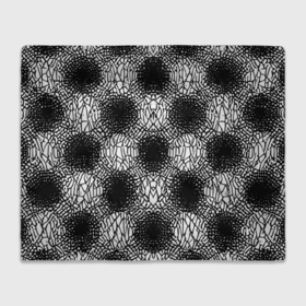 Плед 3D с принтом Симметричная черно белая паутина в Тюмени, 100% полиэстер | закругленные углы, все края обработаны. Ткань не мнется и не растягивается | 
