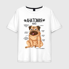 Мужская футболка хлопок Oversize с принтом Анатомия мопса, строение собаки в Белгороде, 100% хлопок | свободный крой, круглый ворот, “спинка” длиннее передней части | 