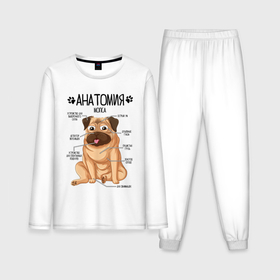 Мужская пижама с лонгсливом хлопок с принтом Анатомия мопса, строение собаки в Кировске,  |  | 