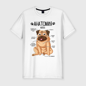 Мужская футболка хлопок Slim с принтом Анатомия мопса, строение собаки , 92% хлопок, 8% лайкра | приталенный силуэт, круглый вырез ворота, длина до линии бедра, короткий рукав | 