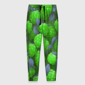 Мужские брюки 3D с принтом Зелёная малина в Курске, 100% полиэстер | манжеты по низу, эластичный пояс регулируется шнурком, по бокам два кармана без застежек, внутренняя часть кармана из мелкой сетки | 