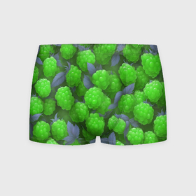 Мужские трусы 3D с принтом Зелёная малина в Курске, 50% хлопок, 50% полиэстер | классическая посадка, на поясе мягкая тканевая резинка | Тематика изображения на принте: 