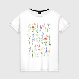 Женская футболка хлопок с принтом Ботаника   биология  полевые цветы в Екатеринбурге, 100% хлопок | прямой крой, круглый вырез горловины, длина до линии бедер, слегка спущенное плечо | 