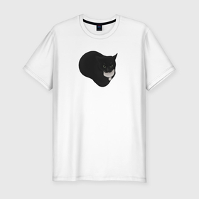 Мужская футболка хлопок Slim с принтом Maxwell cat в Санкт-Петербурге, 92% хлопок, 8% лайкра | приталенный силуэт, круглый вырез ворота, длина до линии бедра, короткий рукав | Тематика изображения на принте: 
