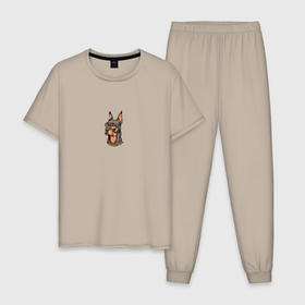 Мужская пижама хлопок с принтом Крутой доберманчик , 100% хлопок | брюки и футболка прямого кроя, без карманов, на брюках мягкая резинка на поясе и по низу штанин
 | 