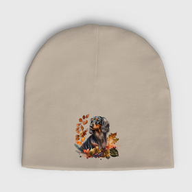 Мужская шапка демисезонная с принтом Такса длинношерстная арт с осенними листьями в Тюмени,  |  | Тематика изображения на принте: 