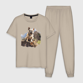 Мужская пижама хлопок с принтом Палевый французский бульдог и пирамиды майя , 100% хлопок | брюки и футболка прямого кроя, без карманов, на брюках мягкая резинка на поясе и по низу штанин
 | 