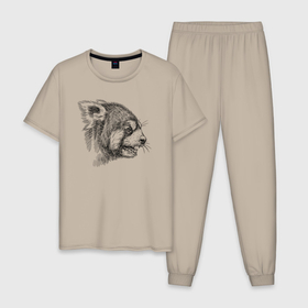 Мужская пижама хлопок с принтом Красная панда злобная в Тюмени, 100% хлопок | брюки и футболка прямого кроя, без карманов, на брюках мягкая резинка на поясе и по низу штанин
 | 