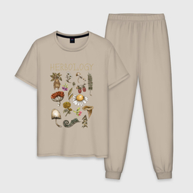 Мужская пижама хлопок с принтом Биология   растения в мире ботанике в Петрозаводске, 100% хлопок | брюки и футболка прямого кроя, без карманов, на брюках мягкая резинка на поясе и по низу штанин
 | 