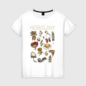 Женская футболка хлопок с принтом Биология   растения в мире ботанике в Петрозаводске, 100% хлопок | прямой крой, круглый вырез горловины, длина до линии бедер, слегка спущенное плечо | 