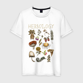 Мужская футболка хлопок с принтом Биология   растения в мире ботанике , 100% хлопок | прямой крой, круглый вырез горловины, длина до линии бедер, слегка спущенное плечо. | Тематика изображения на принте: 