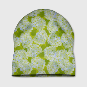 Шапка 3D с принтом Гортензии в зелени в Тюмени, 100% полиэстер | универсальный размер, печать по всей поверхности изделия | 