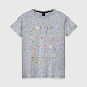 Женская футболка хлопок с принтом Полевые нежные цветы в Екатеринбурге, 100% хлопок | прямой крой, круглый вырез горловины, длина до линии бедер, слегка спущенное плечо | 
