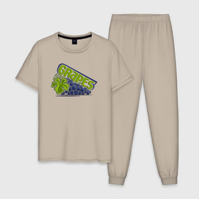 Мужская пижама хлопок с принтом Тёмный виноград в Кировске, 100% хлопок | брюки и футболка прямого кроя, без карманов, на брюках мягкая резинка на поясе и по низу штанин
 | 