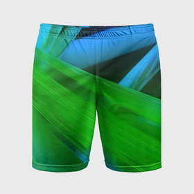 Мужские шорты спортивные с принтом Blue  green  abstract в Кировске,  |  | 