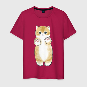 Мужская футболка хлопок с принтом Рыжий пушистый котёнок в Екатеринбурге, 100% хлопок | прямой крой, круглый вырез горловины, длина до линии бедер, слегка спущенное плечо. | 