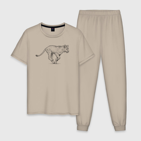Мужская пижама хлопок с принтом Бегущий львёнок в Петрозаводске, 100% хлопок | брюки и футболка прямого кроя, без карманов, на брюках мягкая резинка на поясе и по низу штанин
 | 