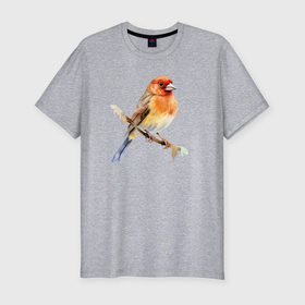 Мужская футболка хлопок Slim с принтом Оранжевая птица на ветке в Тюмени, 92% хлопок, 8% лайкра | приталенный силуэт, круглый вырез ворота, длина до линии бедра, короткий рукав | 