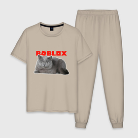 Мужская пижама хлопок с принтом Кот roblox в Екатеринбурге, 100% хлопок | брюки и футболка прямого кроя, без карманов, на брюках мягкая резинка на поясе и по низу штанин
 | 