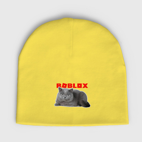 Мужская шапка демисезонная с принтом Кот roblox в Тюмени,  |  | Тематика изображения на принте: 