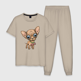 Мужская пижама хлопок с принтом Собака чихуахуа , 100% хлопок | брюки и футболка прямого кроя, без карманов, на брюках мягкая резинка на поясе и по низу штанин
 | Тематика изображения на принте: 