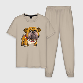 Мужская пижама хлопок с принтом Bulldog в Белгороде, 100% хлопок | брюки и футболка прямого кроя, без карманов, на брюках мягкая резинка на поясе и по низу штанин
 | 