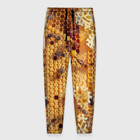 Мужские брюки 3D с принтом Пчёлы и соты с мёдом в Новосибирске, 100% полиэстер | манжеты по низу, эластичный пояс регулируется шнурком, по бокам два кармана без застежек, внутренняя часть кармана из мелкой сетки | 