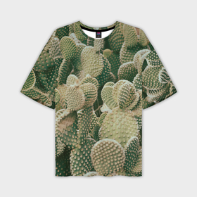 Мужская футболка oversize 3D с принтом Поле кактусов в Кировске,  |  | 