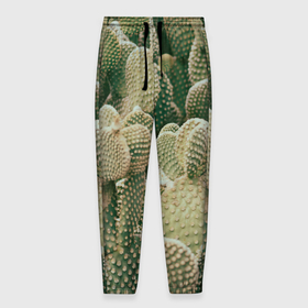 Мужские брюки 3D с принтом Поле кактусов в Санкт-Петербурге, 100% полиэстер | манжеты по низу, эластичный пояс регулируется шнурком, по бокам два кармана без застежек, внутренняя часть кармана из мелкой сетки | Тематика изображения на принте: 
