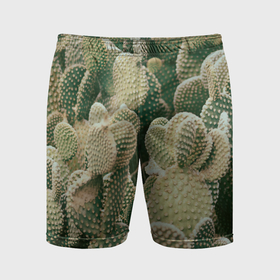 Мужские шорты спортивные с принтом Поле кактусов в Кировске,  |  | 