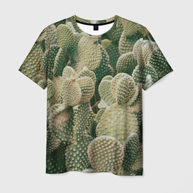 Мужская футболка 3D с принтом Поле кактусов в Кировске, 100% полиэфир | прямой крой, круглый вырез горловины, длина до линии бедер | 