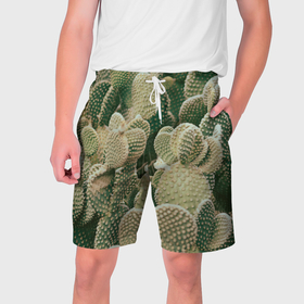Мужские шорты 3D с принтом Поле кактусов в Кировске,  полиэстер 100% | прямой крой, два кармана без застежек по бокам. Мягкая трикотажная резинка на поясе, внутри которой широкие завязки. Длина чуть выше колен | 