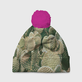 Шапка 3D c помпоном с принтом Поле кактусов в Кировске, 100% полиэстер | универсальный размер, печать по всей поверхности изделия | 