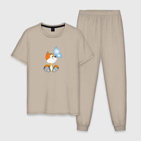 Мужская пижама хлопок с принтом Рыжий котенок и бабочка в Курске, 100% хлопок | брюки и футболка прямого кроя, без карманов, на брюках мягкая резинка на поясе и по низу штанин
 | 