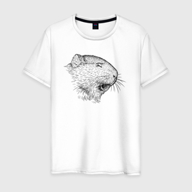 Мужская футболка хлопок с принтом Профиль морской свинки в Кировске, 100% хлопок | прямой крой, круглый вырез горловины, длина до линии бедер, слегка спущенное плечо. | 