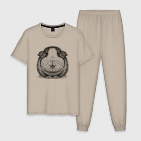 Мужская пижама хлопок с принтом Морская свинка анфас в Новосибирске, 100% хлопок | брюки и футболка прямого кроя, без карманов, на брюках мягкая резинка на поясе и по низу штанин
 | 