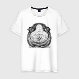 Мужская футболка хлопок с принтом Морская свинка анфас в Кировске, 100% хлопок | прямой крой, круглый вырез горловины, длина до линии бедер, слегка спущенное плечо. | 