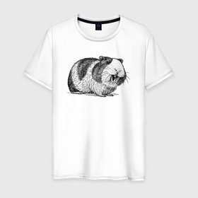 Мужская футболка хлопок с принтом Морская свинка улыбается в Кировске, 100% хлопок | прямой крой, круглый вырез горловины, длина до линии бедер, слегка спущенное плечо. | 