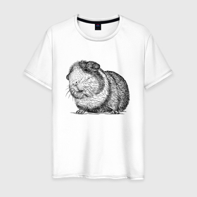 Мужская футболка хлопок с принтом Морская свинка задумалась в Кировске, 100% хлопок | прямой крой, круглый вырез горловины, длина до линии бедер, слегка спущенное плечо. | 
