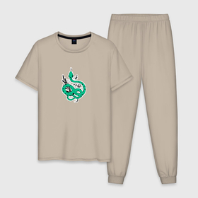 Мужская пижама хлопок с принтом Змея зеленая в горошек с листиками в Кировске, 100% хлопок | брюки и футболка прямого кроя, без карманов, на брюках мягкая резинка на поясе и по низу штанин
 | 