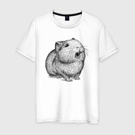 Мужская футболка хлопок с принтом Морская свинка поет в Кировске, 100% хлопок | прямой крой, круглый вырез горловины, длина до линии бедер, слегка спущенное плечо. | 