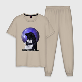 Мужская пижама хлопок с принтом Влюбленные котики   Love Me Tender в Тюмени, 100% хлопок | брюки и футболка прямого кроя, без карманов, на брюках мягкая резинка на поясе и по низу штанин
 | Тематика изображения на принте: 