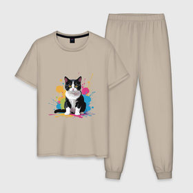 Мужская пижама хлопок с принтом Кот проказник в Тюмени, 100% хлопок | брюки и футболка прямого кроя, без карманов, на брюках мягкая резинка на поясе и по низу штанин
 | 