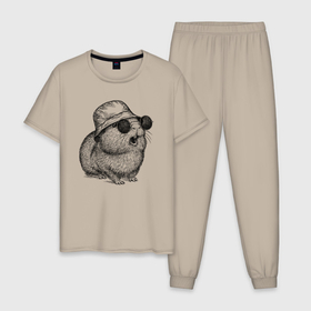 Мужская пижама хлопок с принтом Морская свинка в панаме и очках в Белгороде, 100% хлопок | брюки и футболка прямого кроя, без карманов, на брюках мягкая резинка на поясе и по низу штанин
 | 