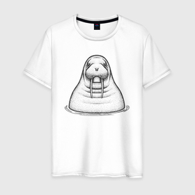 Мужская футболка хлопок с принтом Морж в воде в Новосибирске, 100% хлопок | прямой крой, круглый вырез горловины, длина до линии бедер, слегка спущенное плечо. | Тематика изображения на принте: 