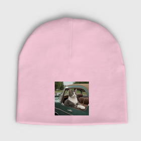Мужская шапка демисезонная с принтом Котик автомобилист винтажная серия в Рязани,  |  | Тематика изображения на принте: 