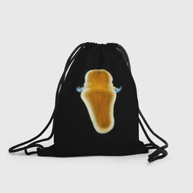 Рюкзак-мешок 3D с принтом Личинка кораллов зоантарий   zoanthina в Санкт-Петербурге, 100% полиэстер | плотность ткани — 200 г/м2, размер — 35 х 45 см; лямки — толстые шнурки, застежка на шнуровке, без карманов и подкладки | 